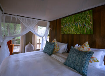 O.Grunewald Muzimu Gorongosa Mozambique 49