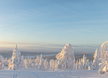Octola Private Wilderness Lodge Finnland Polarkreis