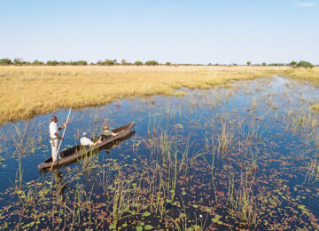 Okavango-Delta-Mokoro-Activity1-07