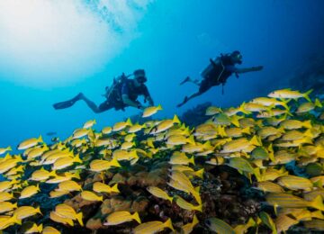 One&Only Reethi Rah, Malediven (58)