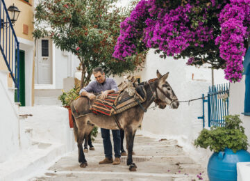 OneOnly_KeaIsland (15)