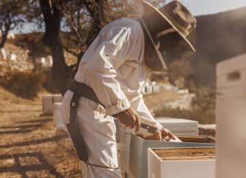 OneOnly_KeaIsland (29)