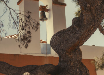 OneOnly_KeaIsland (35)