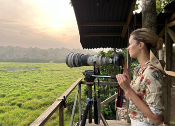 Platform in Mbeli Bai Nouabale-Ndoki NP © Expéditions Ducret copy