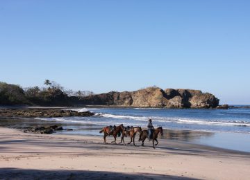 Spielen Sie ein Pferd,Luxusreise  Costa Rica