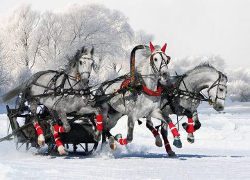 Radisson Blu St Petersburg Troika-Horse-ride-in-Pavlovsk-Park©Radisson Blu St Petersburg