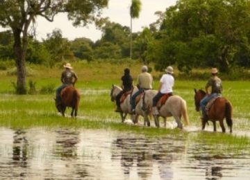Reiten Pantanal ,Brasilien,Luxusreise