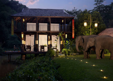 Rice paddy gala dinner with Elephant companions © Anantara Golden Triangle Elephant Camp Resort