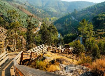 SR-Pavia-Portigal-shutterstock_1324216517