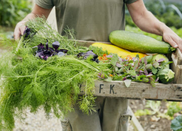 The PIG at Combe England (39)