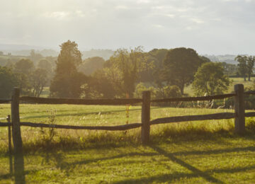 The PIG at Combe England (44)