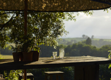 The PIG at Combe England (45)