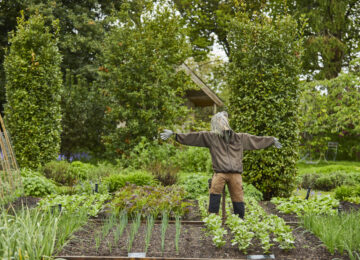 The Pig, Pig Near Bath,, Bath, Somerset, gardens hotel, bar, rooms, restaurant