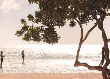 The Ritz Carlton Aruba (4)