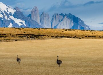 Torres del Paine Lodge Explora (31)