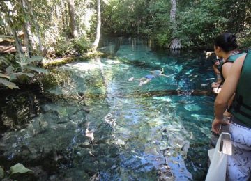 Tour,Pantanal ,Brasilien,Luxusreise