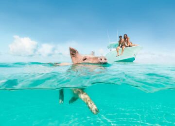 Vacation_Rentals_StanielCay_Exumas-wd4