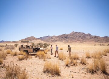 Wolwedans-Activities-Game-drives-9-Immerse-yourself-in-the-desert