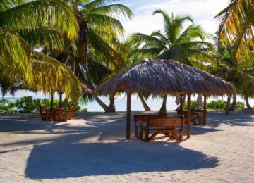 alphonse-island-facilities-beach