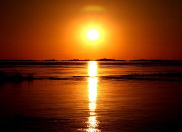 amazonas-295892_1280