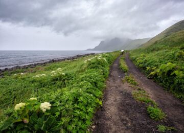 coastline-7300627_1280