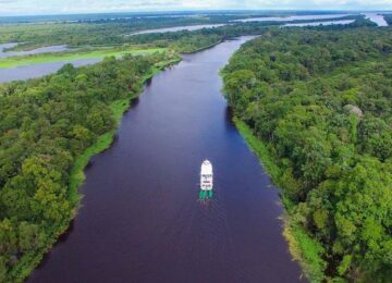 dorinha visto de cima
