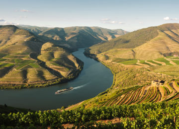Europa – Portugal, Douro & Porto - Wein, Genuß, Lebensart