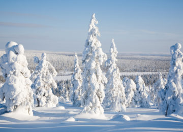 Schwedisch Lappland Winter Arctic Wilderness Fjellbog Lodge