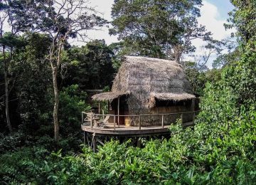 Kongo - Ngaga Lodge