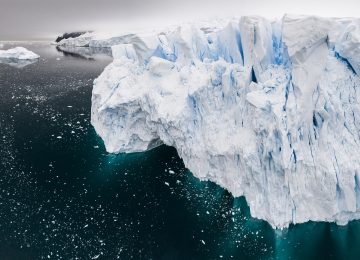 Gletscherabbruch in Neko Harbour