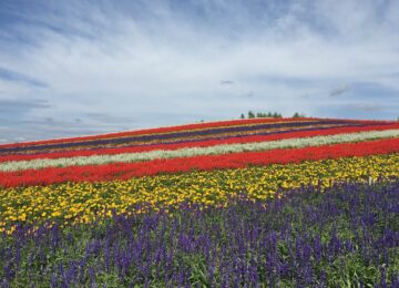 hokkaido-2668599_1280