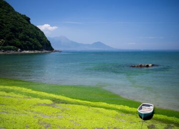 kumamoto-2379030_1280