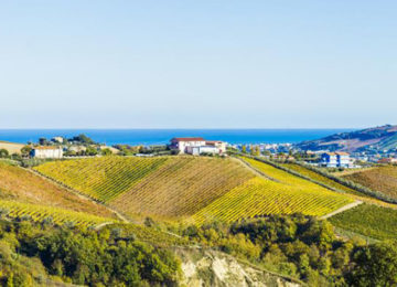 marche-best-in-travel-2020