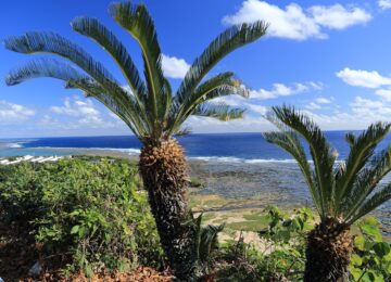 okinawa-2309281_1280