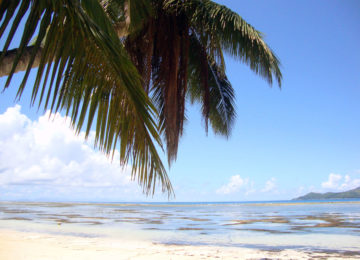orangeraie_beach©Le Domaine de L’Orangeraie Resort & Spa, La Digue, Seychellen