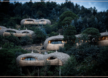 Safari Abenteuer in Mosambik, und Berggorillas hautnah in Ruanda