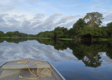 river amazon