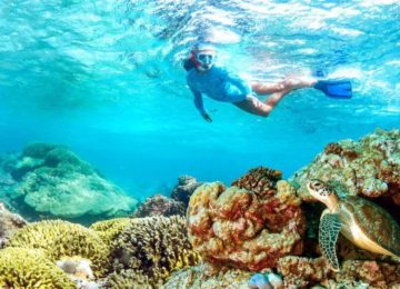 snorkeling©Alphonse Island