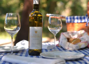 torre-de-gomariz-wine-amp-spa-hotel-imageLinkpicnic-torre-de-gomariz-vinhas-natureza1