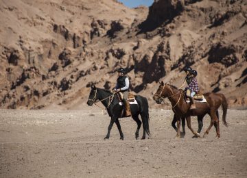 ©Explora Horseback Ride