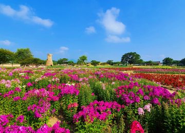 ©Korea Tourism Organisation - Oh Seh-keun, Cheomseongdae Observatory