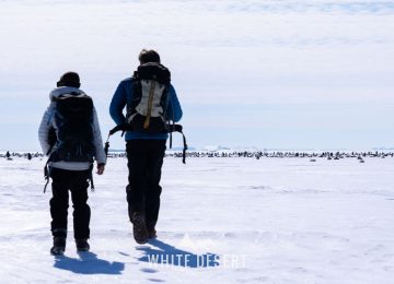 ©WhiteDesertAntarctica00056