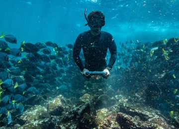 ©Yacht-Isabela-II-Snorkeling-