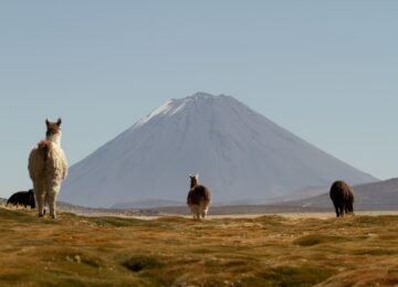©andean.travel_PUQIO 81